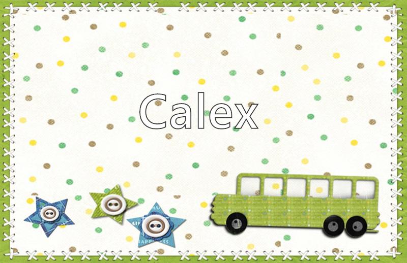 Calex Name Meaning, Origin, History, And Popularity