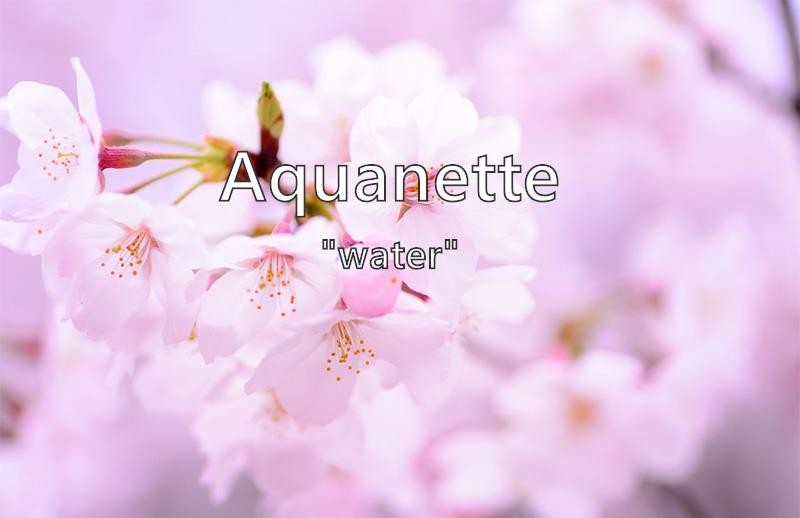 Aquanette Name Meaning Popularity Similar Names Nicknames And Personality For Aquanette