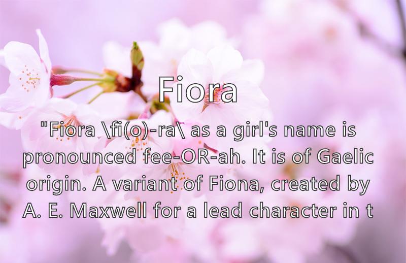 Fiora Name Meaning Popularity Similar Names Nicknames And Personality For Fiora