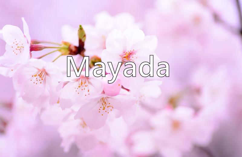 Mayada Name Meaning Popularity Similar Names Nicknames And Personality For Mayada