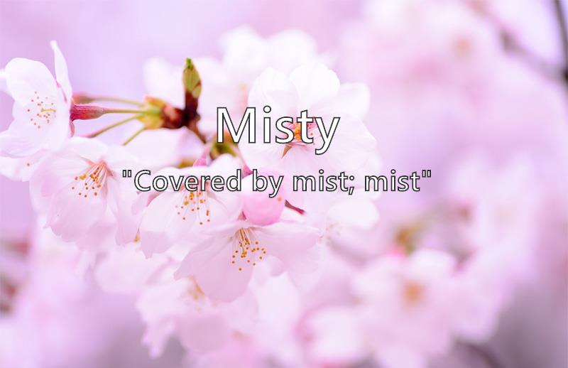 Misty Name Meaning Popularity Similar Names Nicknames And Personality For Misty