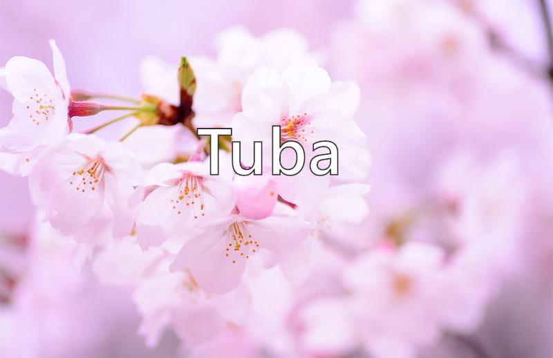 Tuba Name Meaning Popularity Similar Names Nicknames And Personality For Tuba