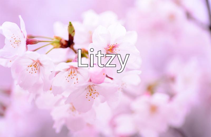litzy the name