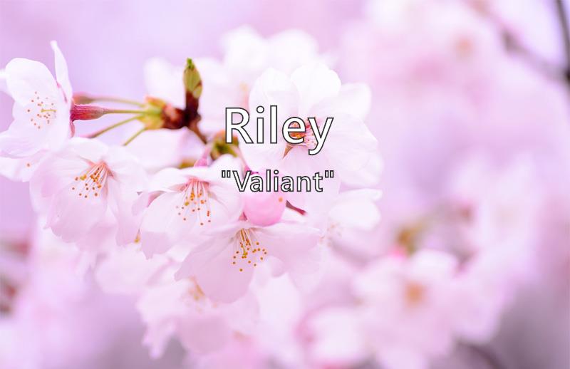 riley-what-does-the-girl-name-riley-mean-name-image