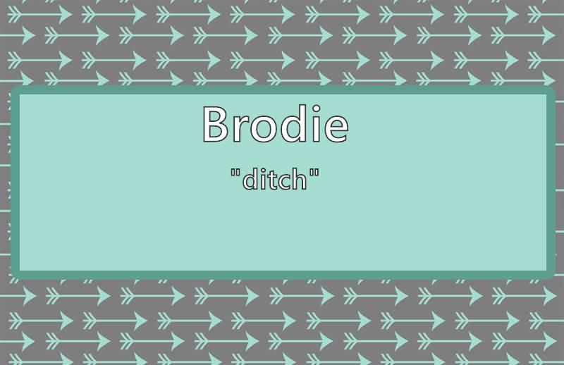 Brodie Name Meaning Popularity Similar Names Nicknames and